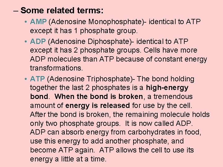 – Some related terms: • AMP (Adenosine Monophosphate)- identical to ATP except it has