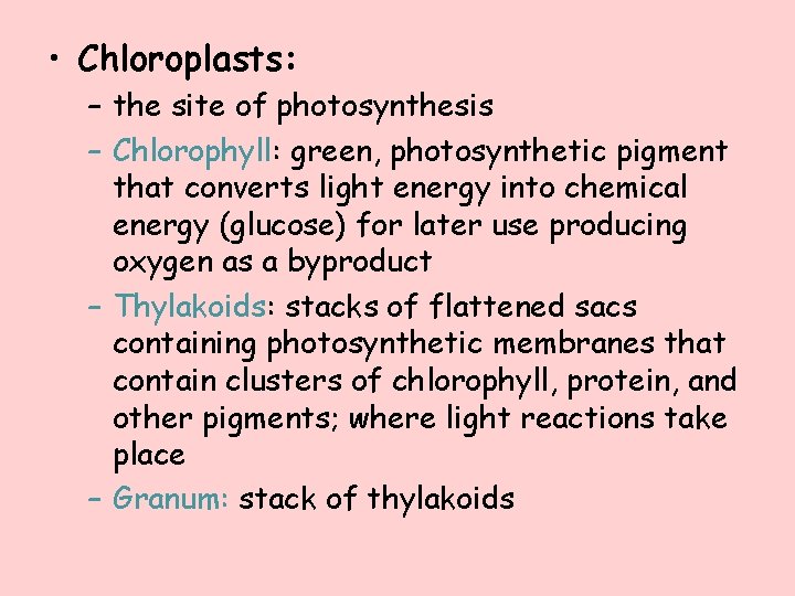  • Chloroplasts: – the site of photosynthesis – Chlorophyll: green, photosynthetic pigment that