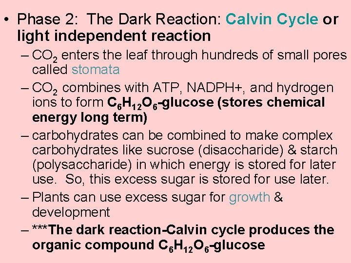  • Phase 2: The Dark Reaction: Calvin Cycle or light independent reaction –