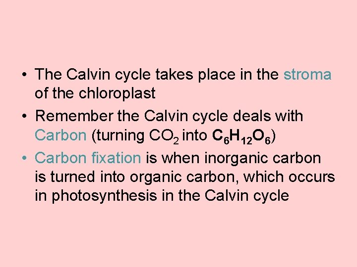  • The Calvin cycle takes place in the stroma of the chloroplast •
