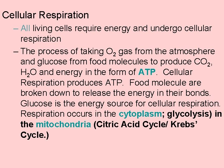 Cellular Respiration – All living cells require energy and undergo cellular respiration – The