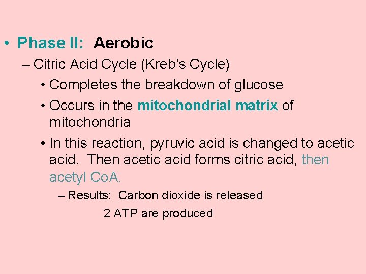  • Phase II: Aerobic – Citric Acid Cycle (Kreb’s Cycle) • Completes the