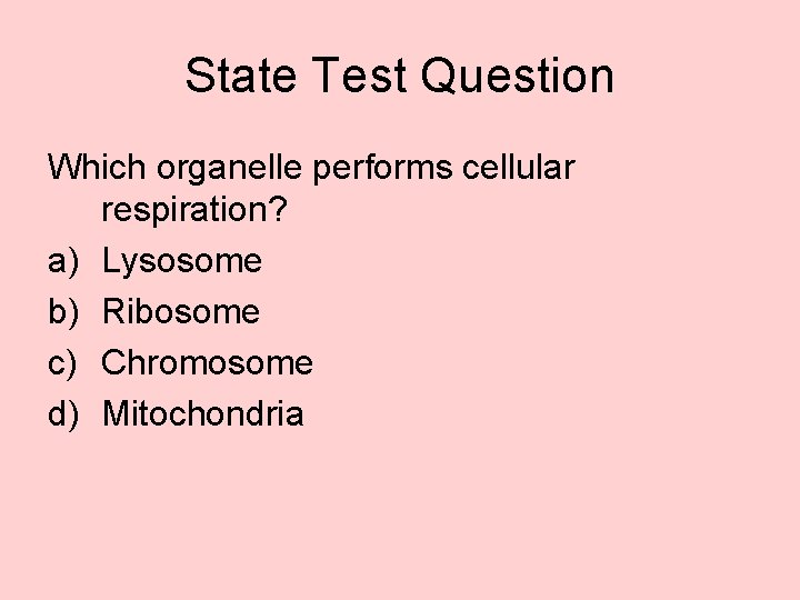 State Test Question Which organelle performs cellular respiration? a) Lysosome b) Ribosome c) Chromosome