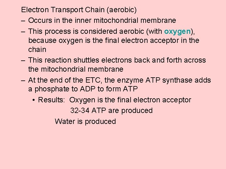 Electron Transport Chain (aerobic) – Occurs in the inner mitochondrial membrane – This process