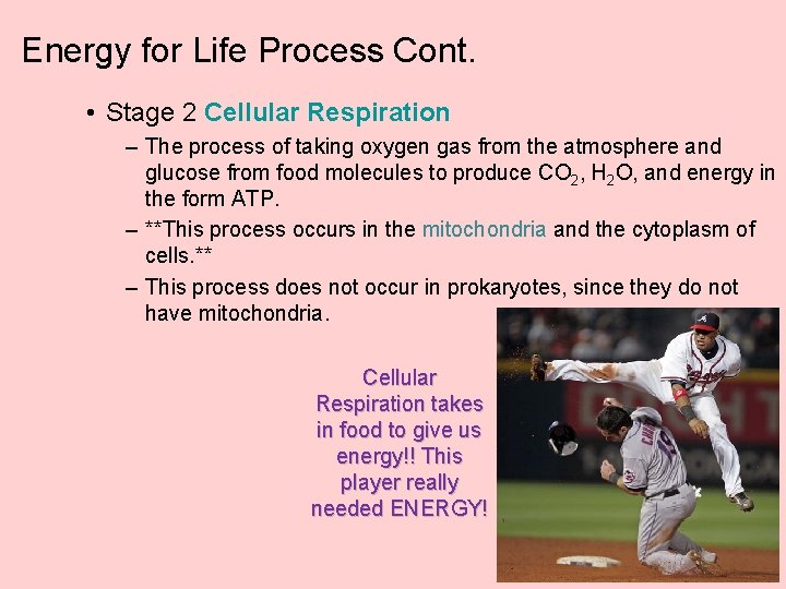 Energy for Life Process Cont. • Stage 2 Cellular Respiration – The process of