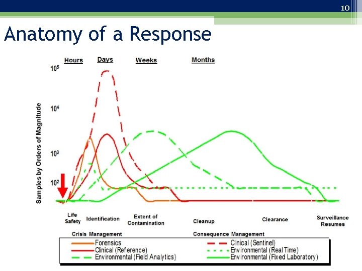 10 Anatomy of a Response 