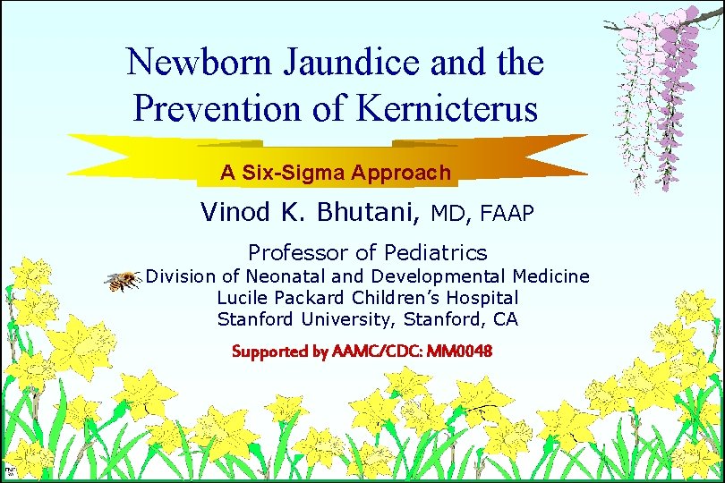 Newborn Jaundice and the Prevention of Kernicterus A Six-Sigma Approach Vinod K. Bhutani, MD,