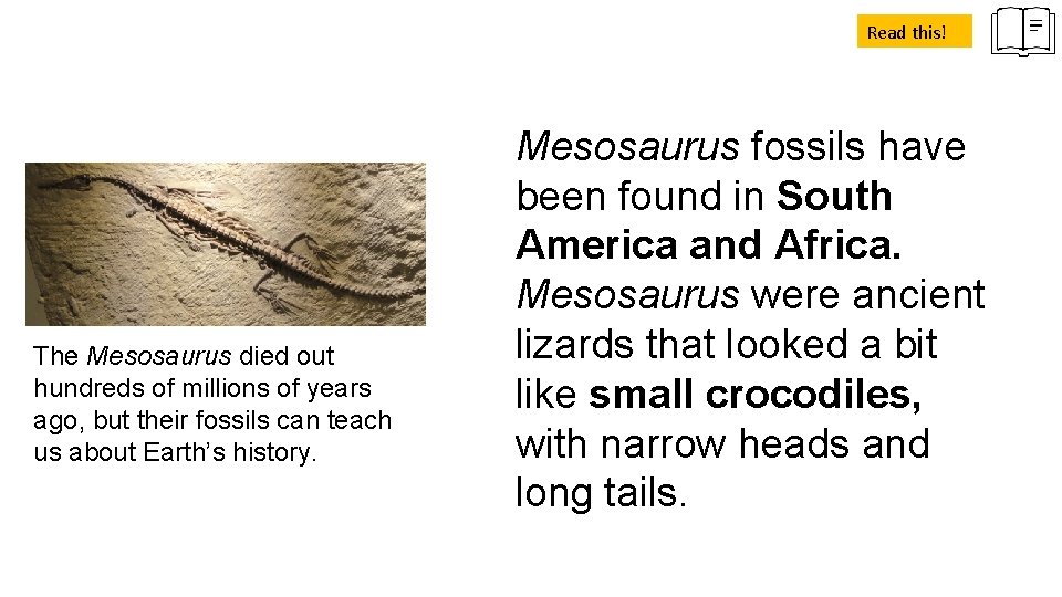 Read this! The Mesosaurus died out hundreds of millions of years ago, but their