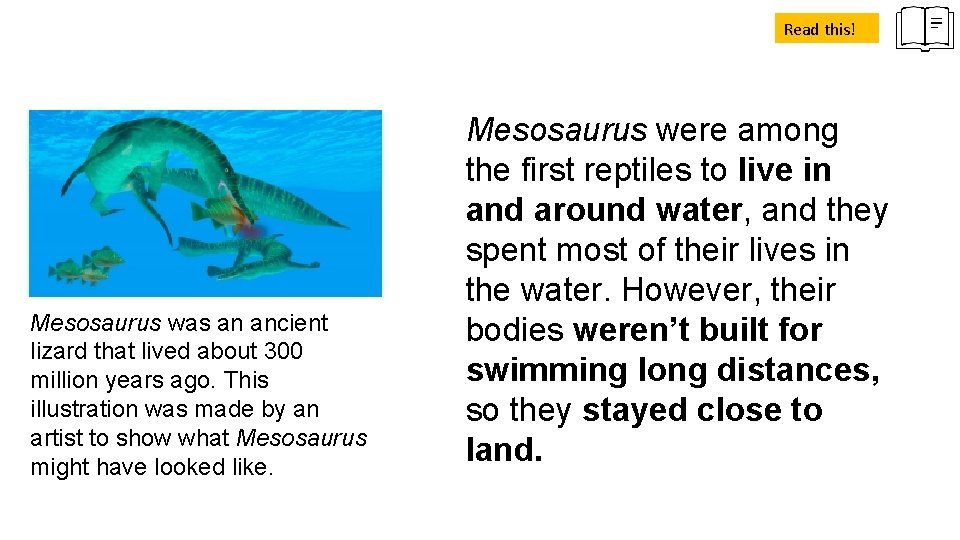 Read this! Mesosaurus was an ancient lizard that lived about 300 million years ago.