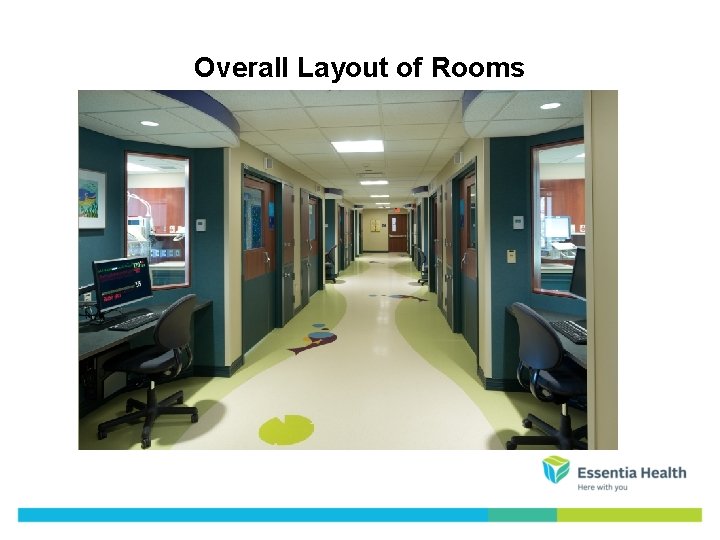 Overall Layout of Rooms 