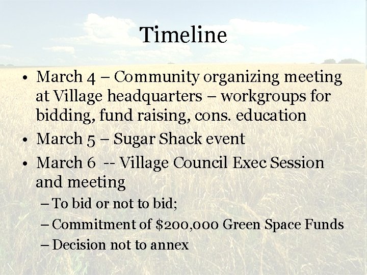 Timeline • March 4 – Community organizing meeting at Village headquarters – workgroups for