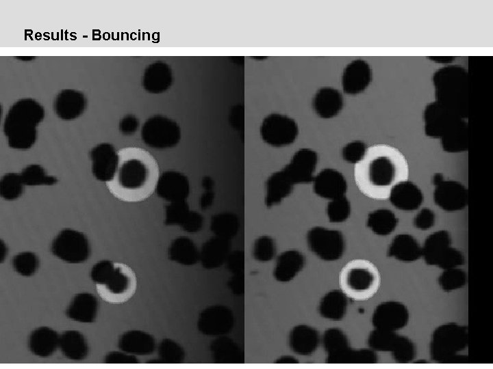 Results - Bouncing 09. 2014 | R. Weidling | Three-dimensional collision analysis of millimeter-sized