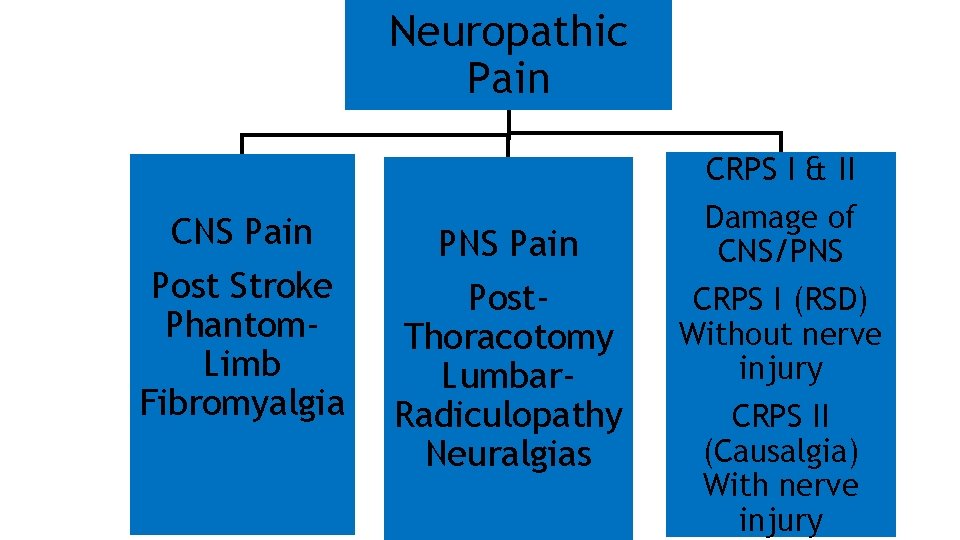 Neuropathic Pain CRPS I & II CNS Pain Post Stroke Phantom. Limb Fibromyalgia PNS