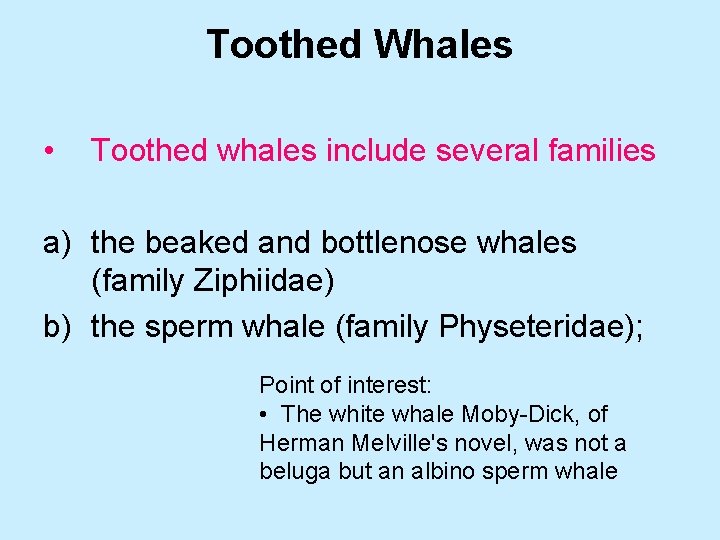 Toothed Whales • Toothed whales include several families a) the beaked and bottlenose whales