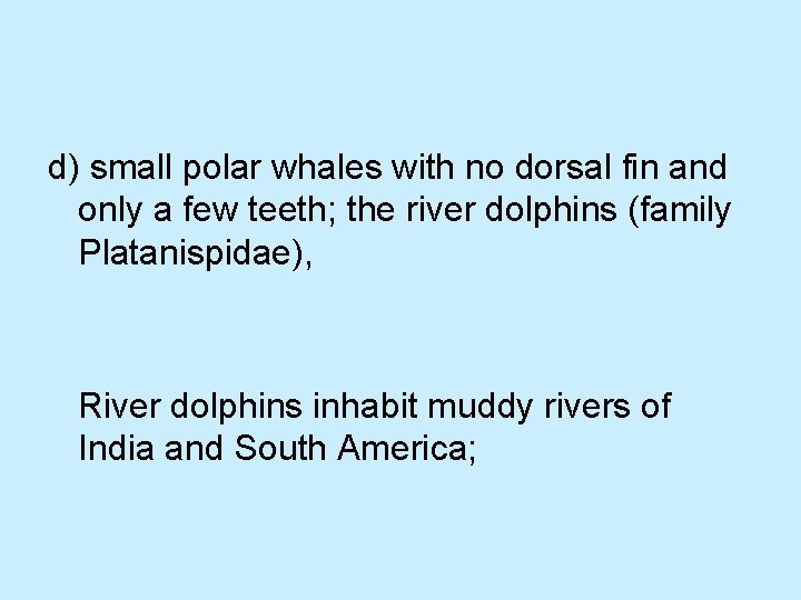 d) small polar whales with no dorsal fin and only a few teeth; the