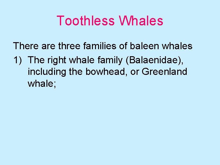Toothless Whales There are three families of baleen whales 1) The right whale family