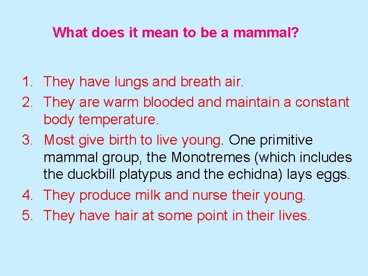 What does it mean to be a mammal? 1. They have lungs and breath