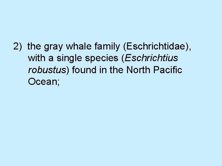 2) the gray whale family (Eschrichtidae), with a single species (Eschrichtius robustus) found in