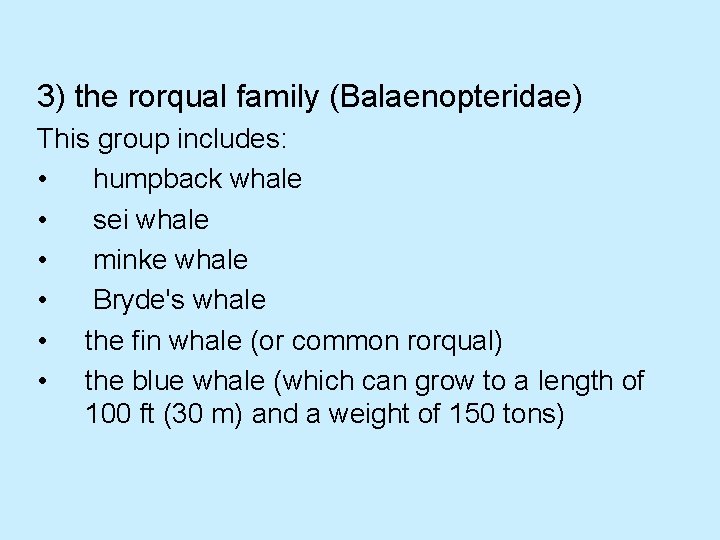 3) the rorqual family (Balaenopteridae) This group includes: • humpback whale • sei whale