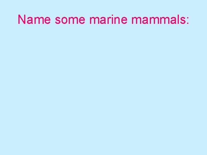 Name some marine mammals: 