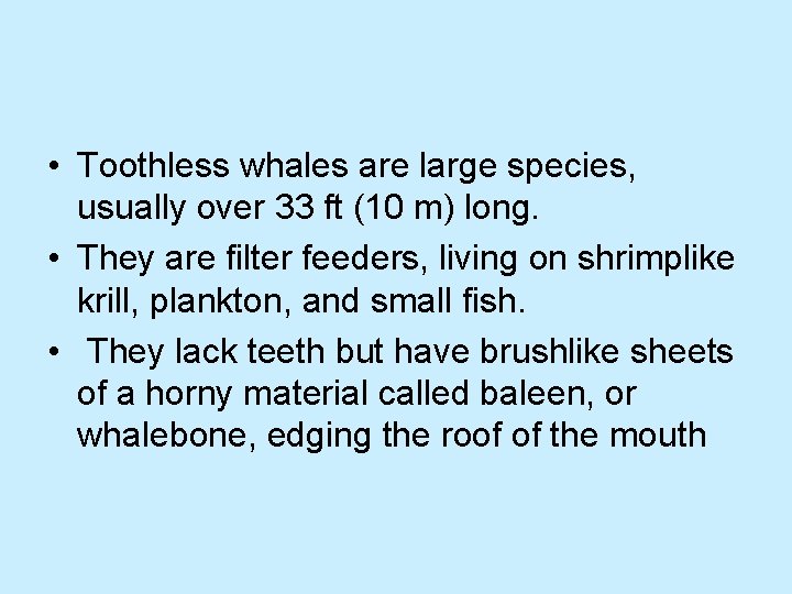  • Toothless whales are large species, usually over 33 ft (10 m) long.