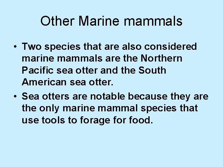 Other Marine mammals • Two species that are also considered marine mammals are the