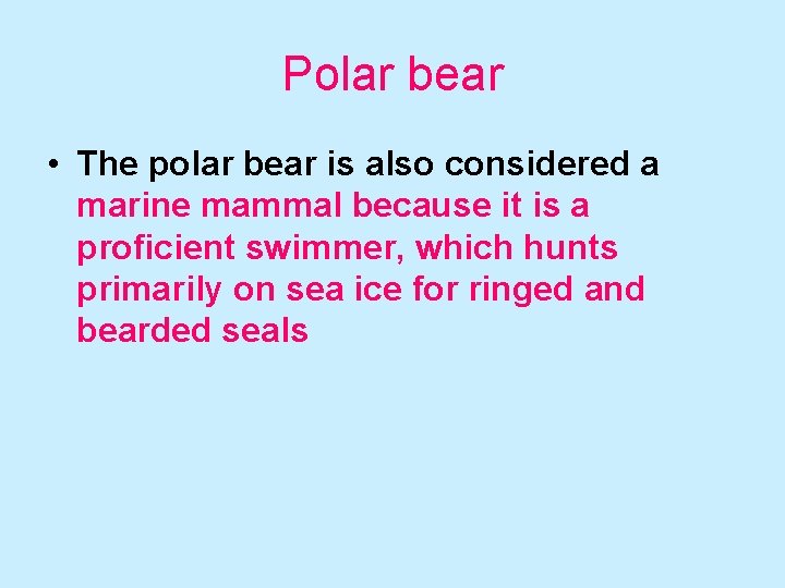 Polar bear • The polar bear is also considered a marine mammal because it