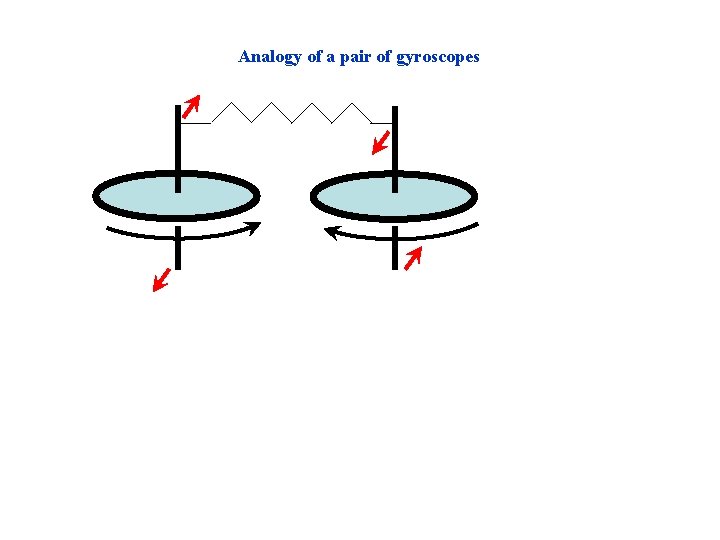 Analogy of a pair of gyroscopes 