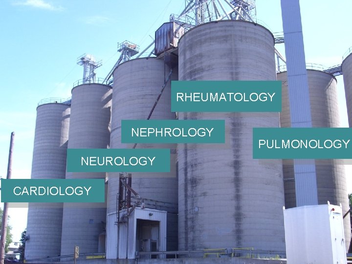 RHEUMATOLOGY NEPHROLOGY NEUROLOGY CARDIOLOGY PULMONOLOGY 