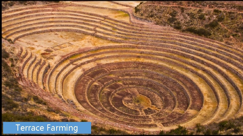 Aztec Temple Terrace Farming 