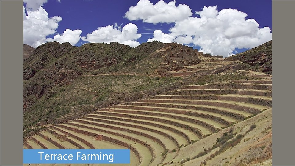 Aztec Temple Terrace Farming 