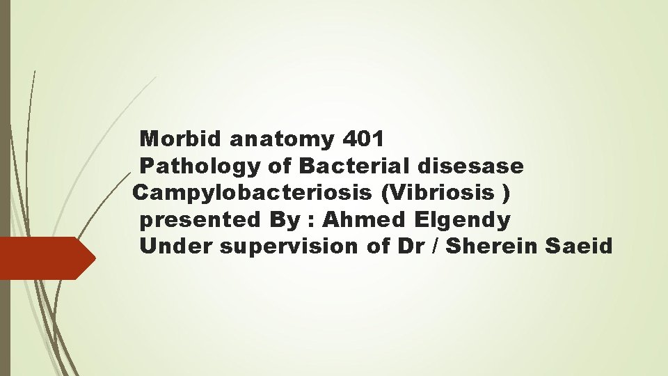 Morbid anatomy 401 Pathology of Bacterial disesase Campylobacteriosis (Vibriosis ) presented By : Ahmed