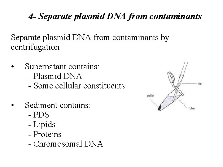 4 - Separate plasmid DNA from contaminants by centrifugation • Supernatant contains: - Plasmid