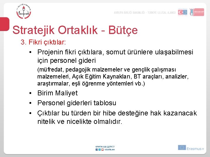 Stratejik Ortaklık - Bütçe 3. Fikri çıktılar: • Projenin fikri çıktılara, somut ürünlere ulaşabilmesi