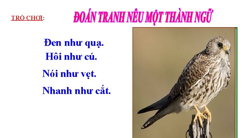 TRÒ CHƠI: Đen như quạ. Hôi như cú. Nói như vẹt. Nhanh như cắt.