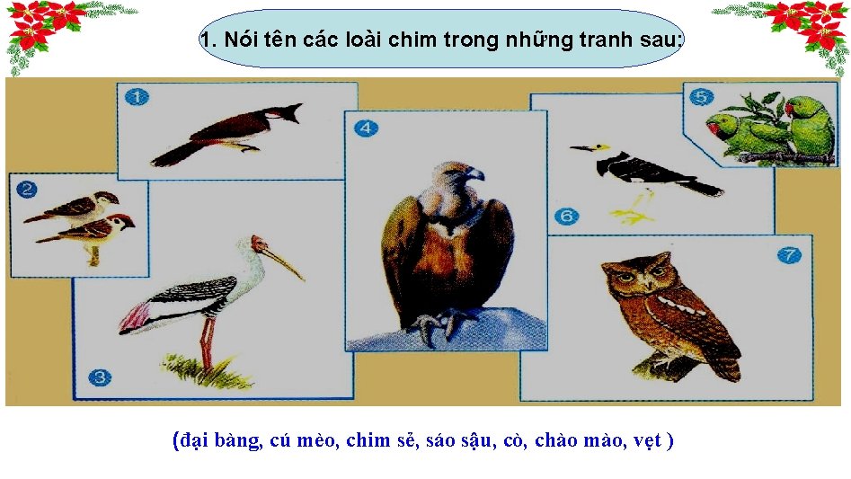 1. Nói tên các loài chim trong những tranh sau: (đại bàng, cú mèo,