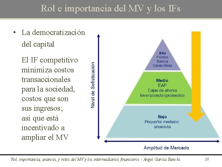 Rol e importancia del MV y los IFs • La democratización del capital El