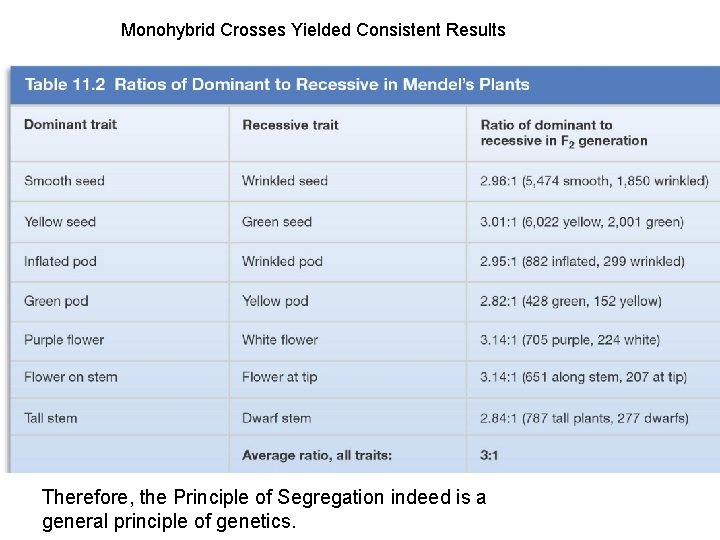Monohybrid Crosses Yielded Consistent Results Therefore, the Principle of Segregation indeed is a general