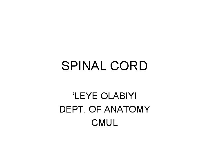 SPINAL CORD ‘LEYE OLABIYI DEPT. OF ANATOMY CMUL 