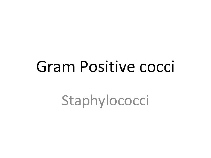 Gram Positive cocci Staphylococci 