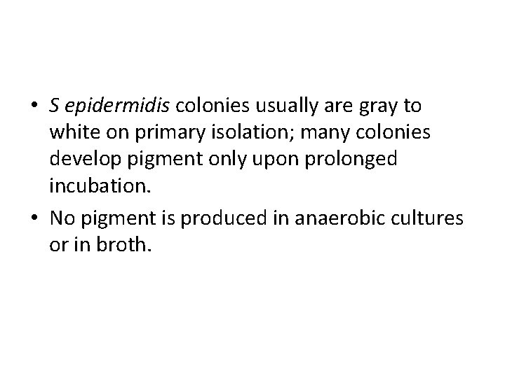  • S epidermidis colonies usually are gray to white on primary isolation; many