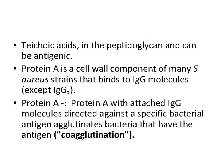  • Teichoic acids, in the peptidoglycan and can be antigenic. • Protein A