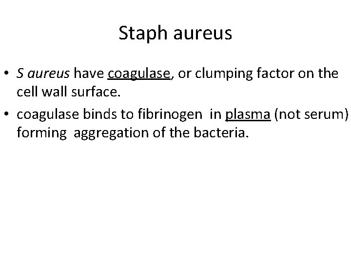 Staph aureus • S aureus have coagulase, or clumping factor on the cell wall