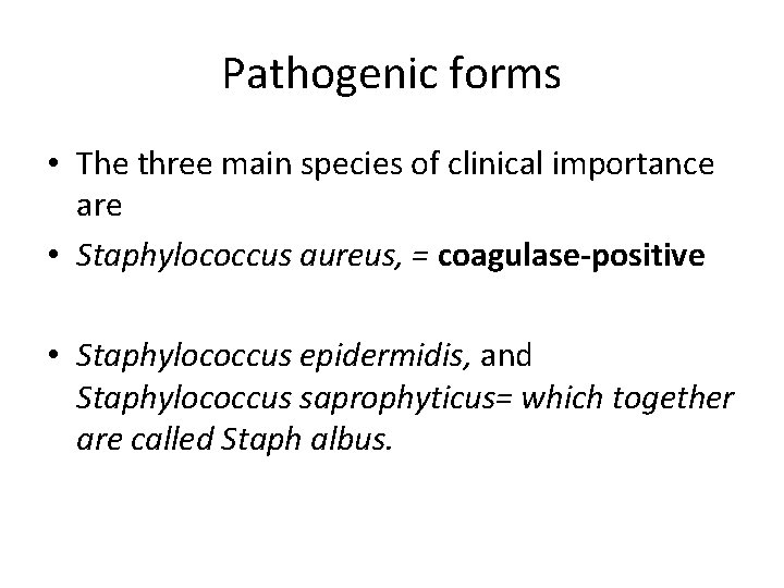Pathogenic forms • The three main species of clinical importance are • Staphylococcus aureus,