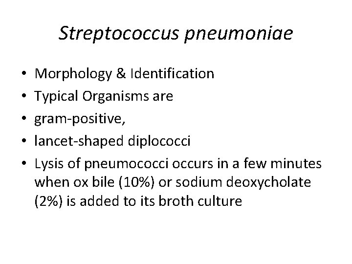 Streptococcus pneumoniae • • • Morphology & Identification Typical Organisms are gram-positive, lancet-shaped diplococci