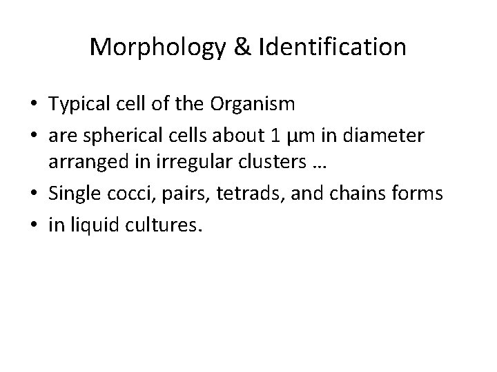 Morphology & Identification • Typical cell of the Organism • are spherical cells about