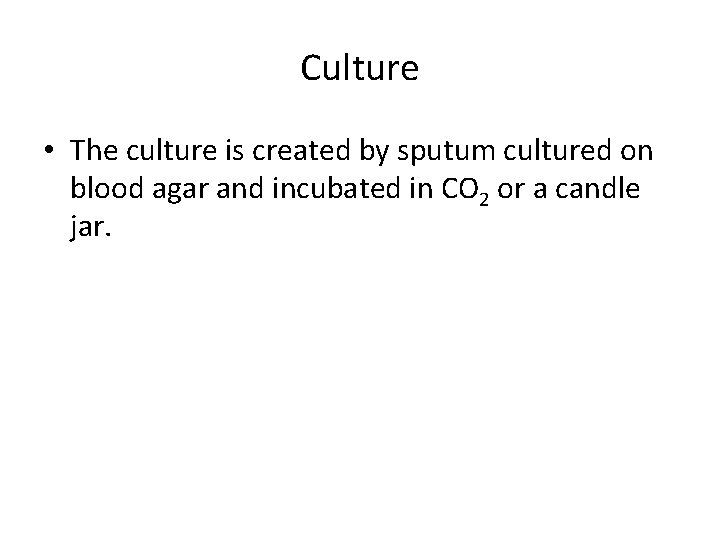 Culture • The culture is created by sputum cultured on blood agar and incubated