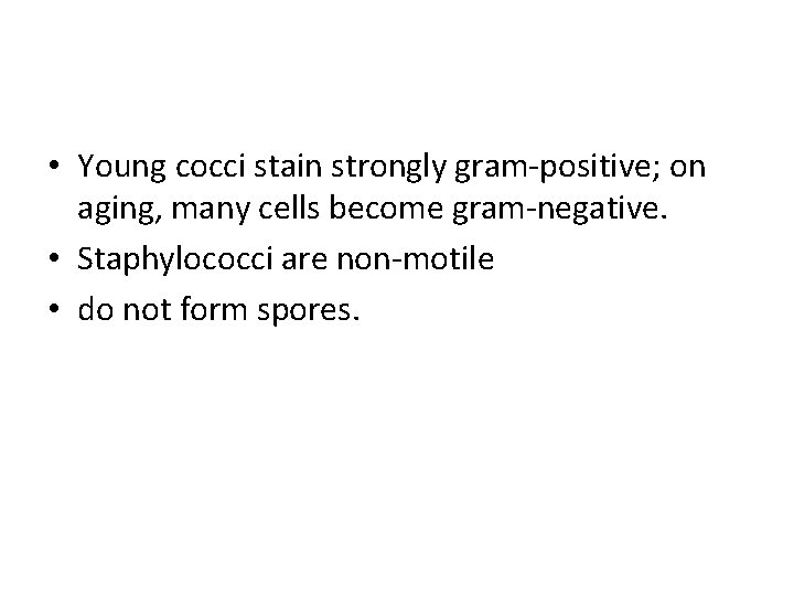  • Young cocci stain strongly gram-positive; on aging, many cells become gram-negative. •
