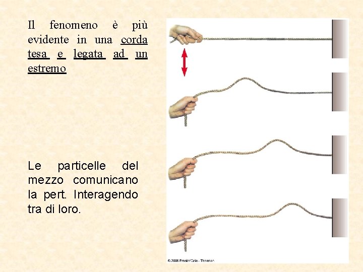 Il fenomeno è più evidente in una corda tesa e legata ad un estremo