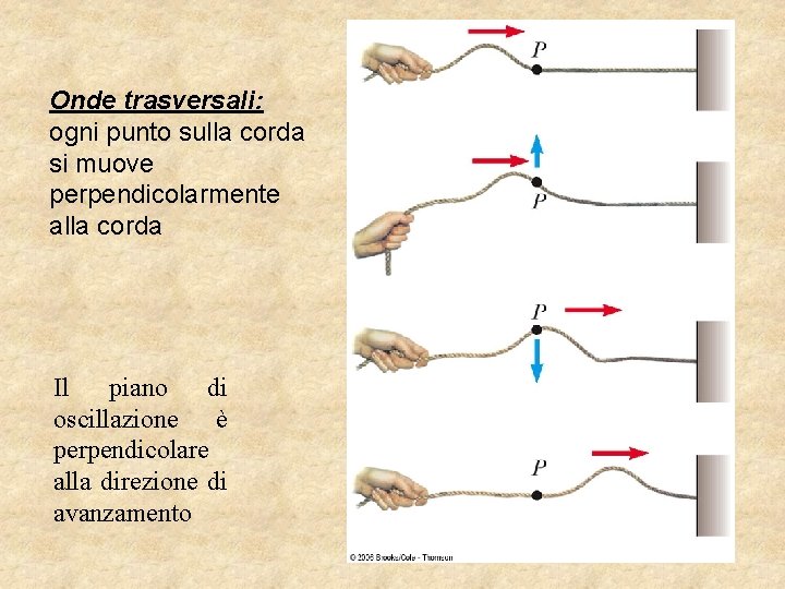 Onde trasversali: ogni punto sulla corda si muove perpendicolarmente alla corda Il piano di